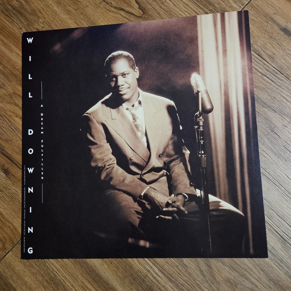 Will Downing A Dream Fulfilled 1991 Promo Flat Album‎ Poster 12x12 Jazz D/S